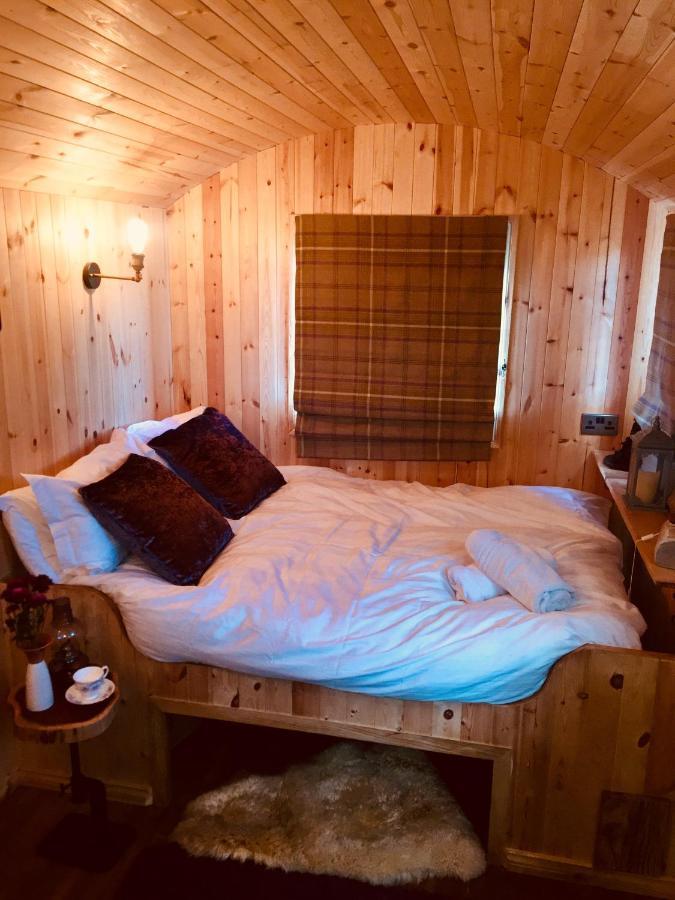 Willowtree Glamping Mournes Villa Annalong Exterior foto