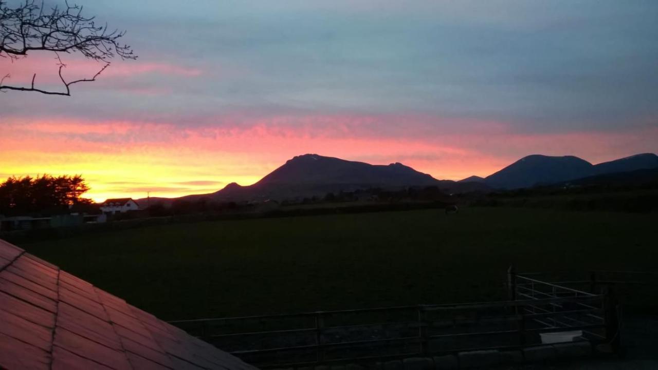 Willowtree Glamping Mournes Villa Annalong Exterior foto