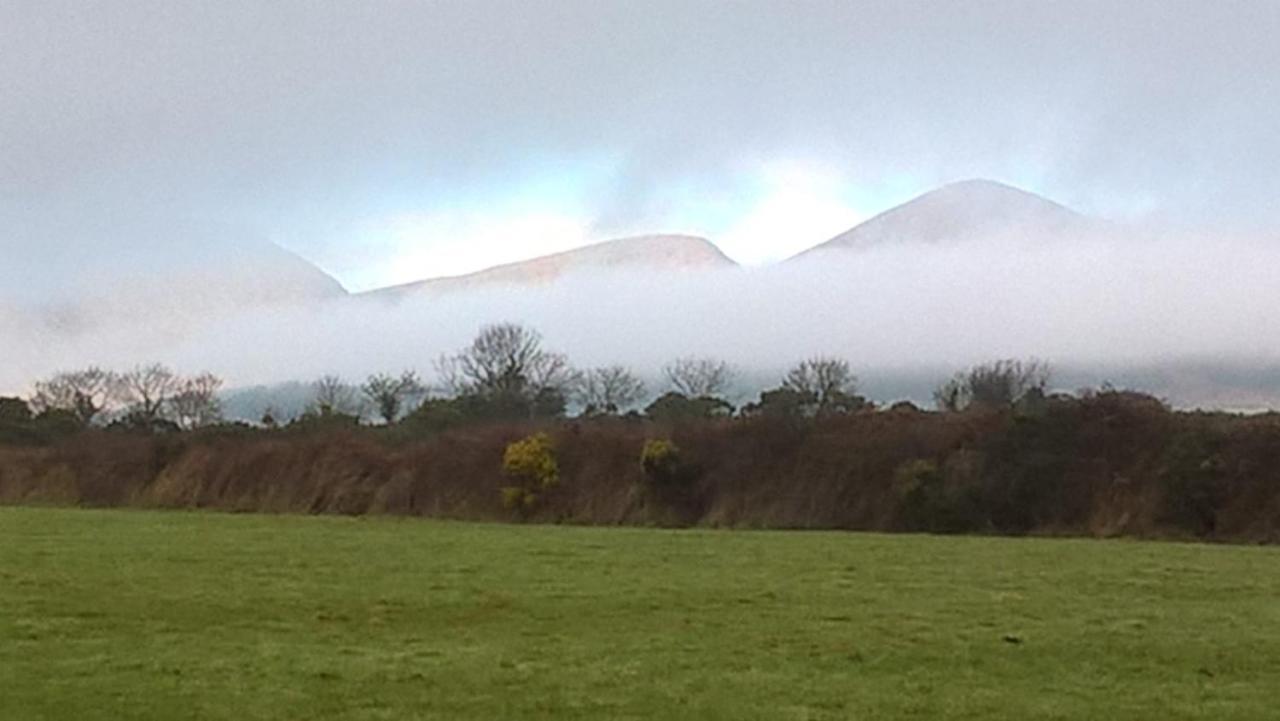 Willowtree Glamping Mournes Villa Annalong Exterior foto