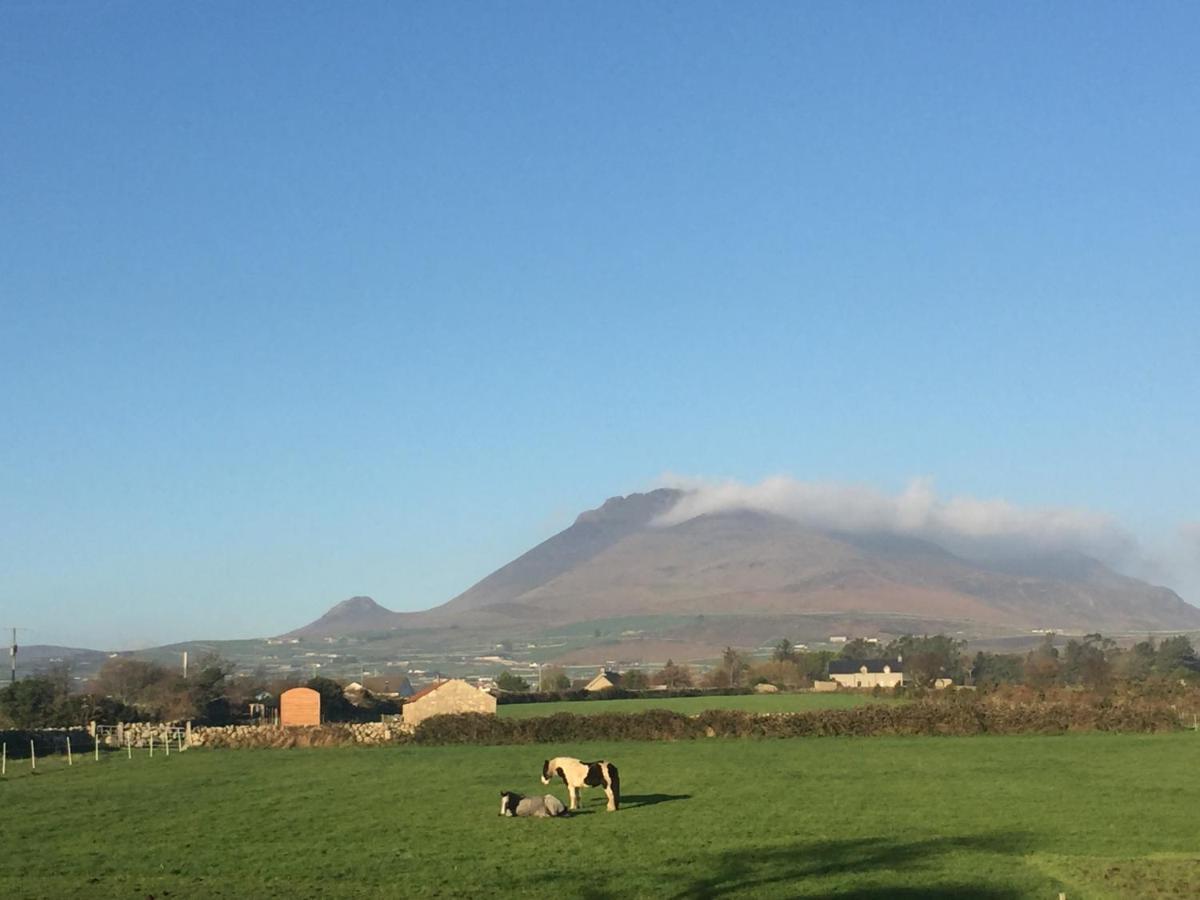 Willowtree Glamping Mournes Villa Annalong Exterior foto